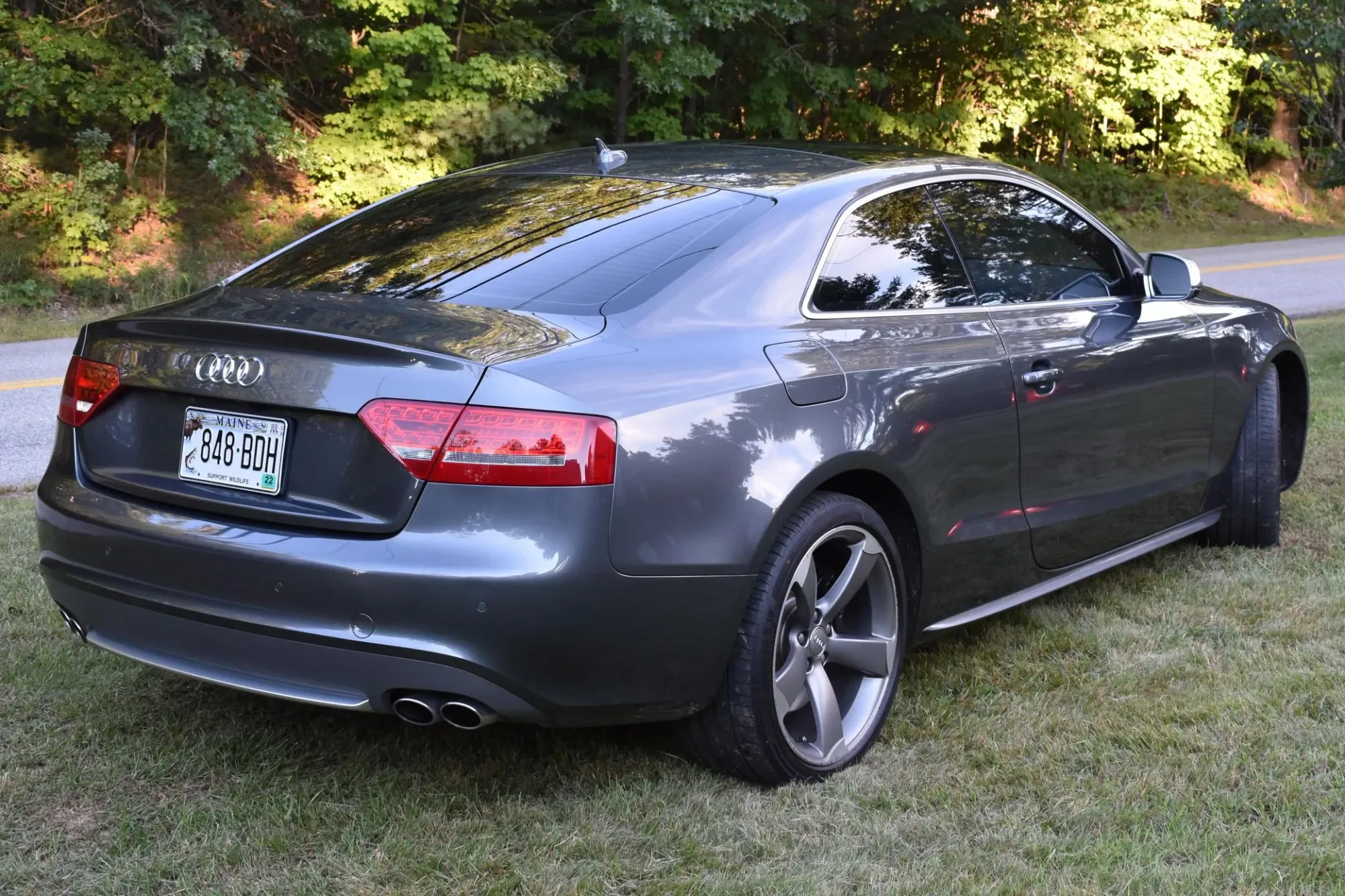 Parte Trasera Audi S5 V8 Gris