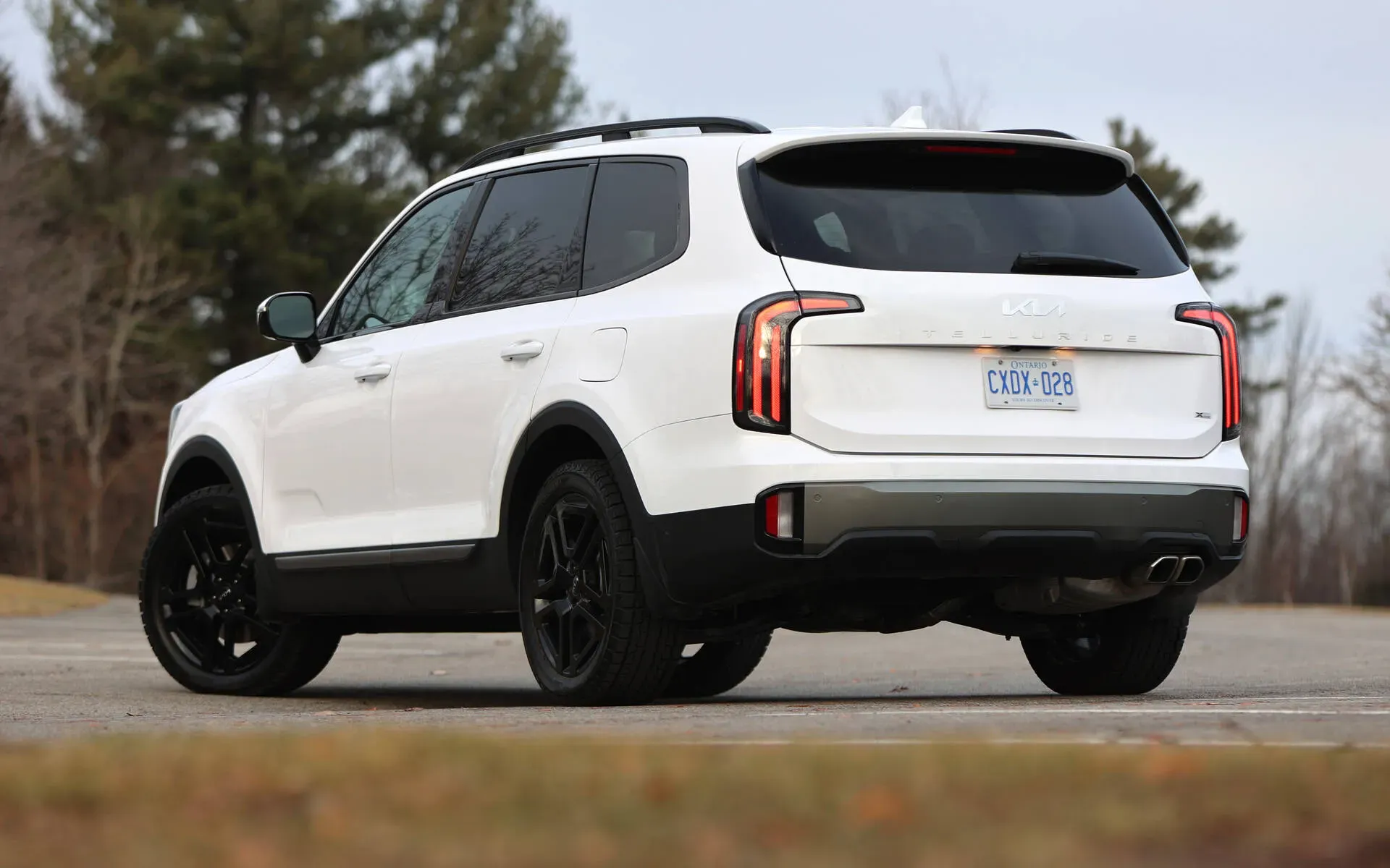 Parte Trasera Kia Telluride 2023 Blanco