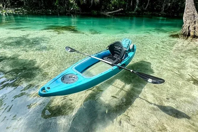 Kayak 