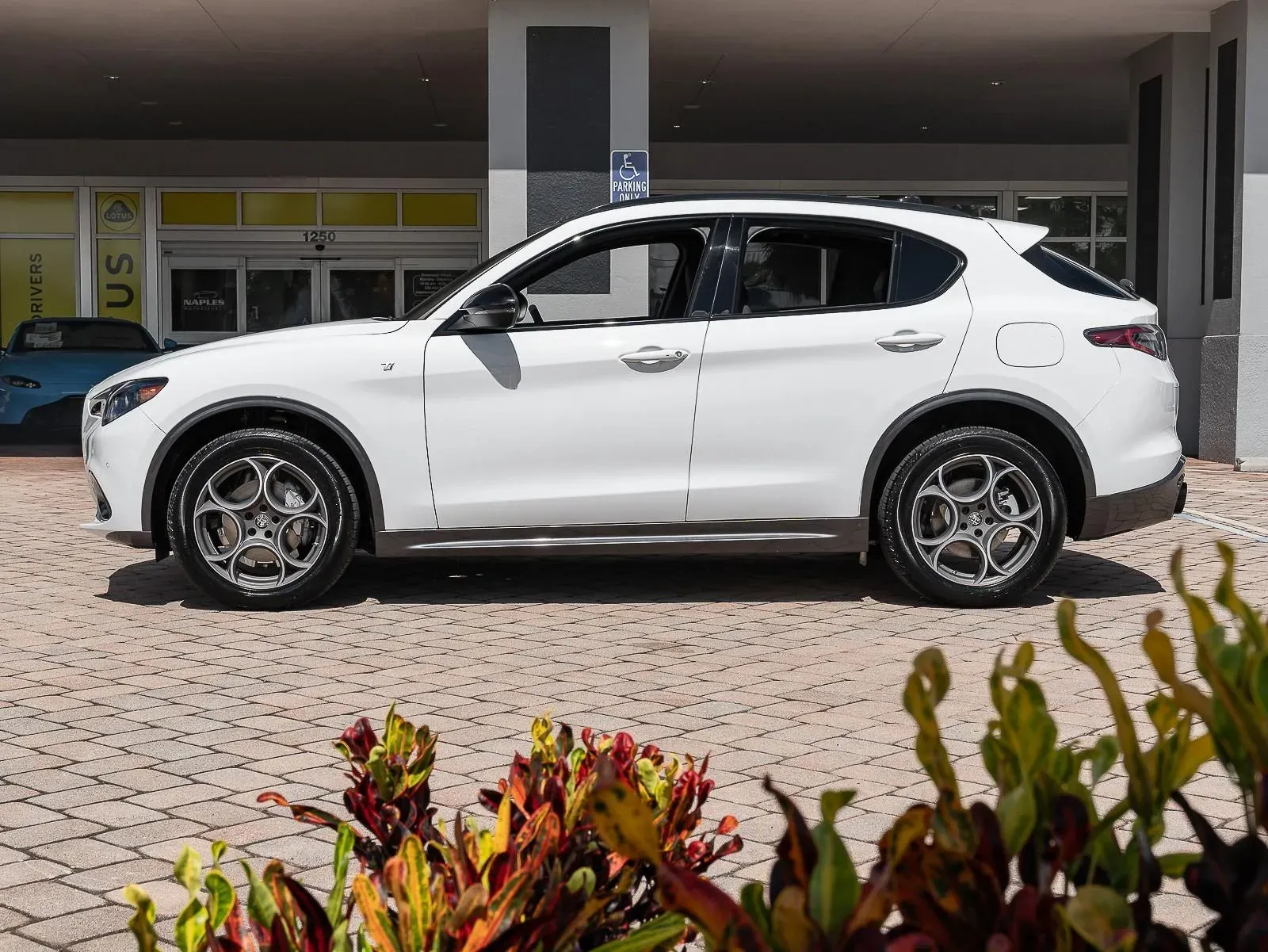 Lateral Alfa Romeo Stelvio Ti 2024 Blanco