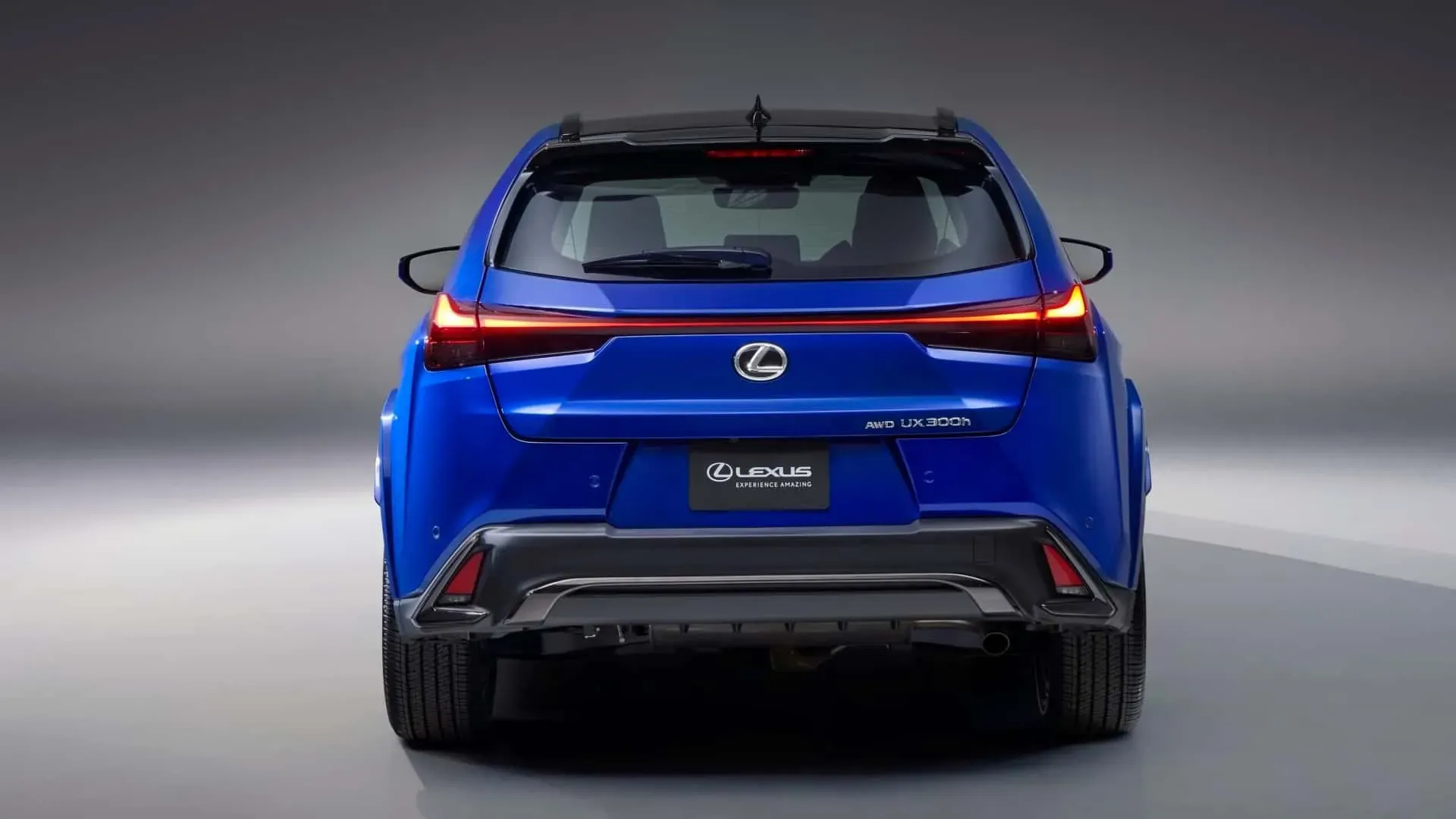 Parte Trasera Lexus UX 300h Azul