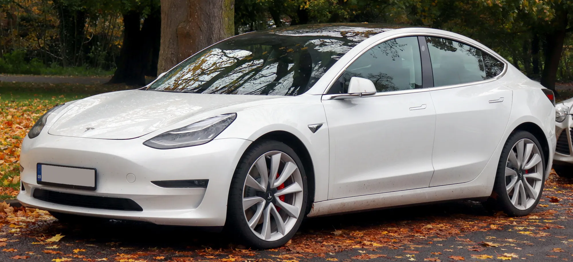 Tesla Model Blanco