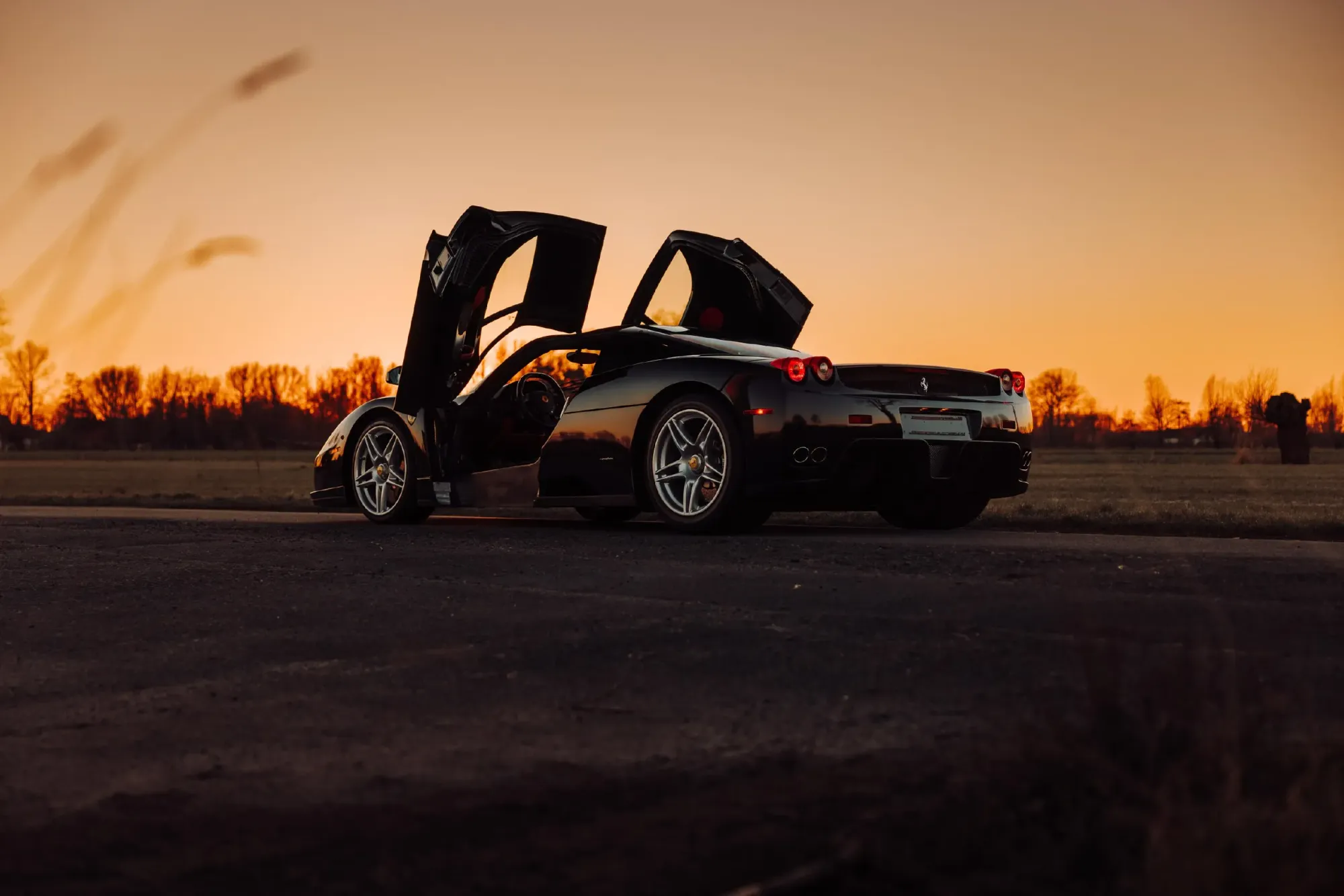 Ferrari Enzo Pininfarina Negro