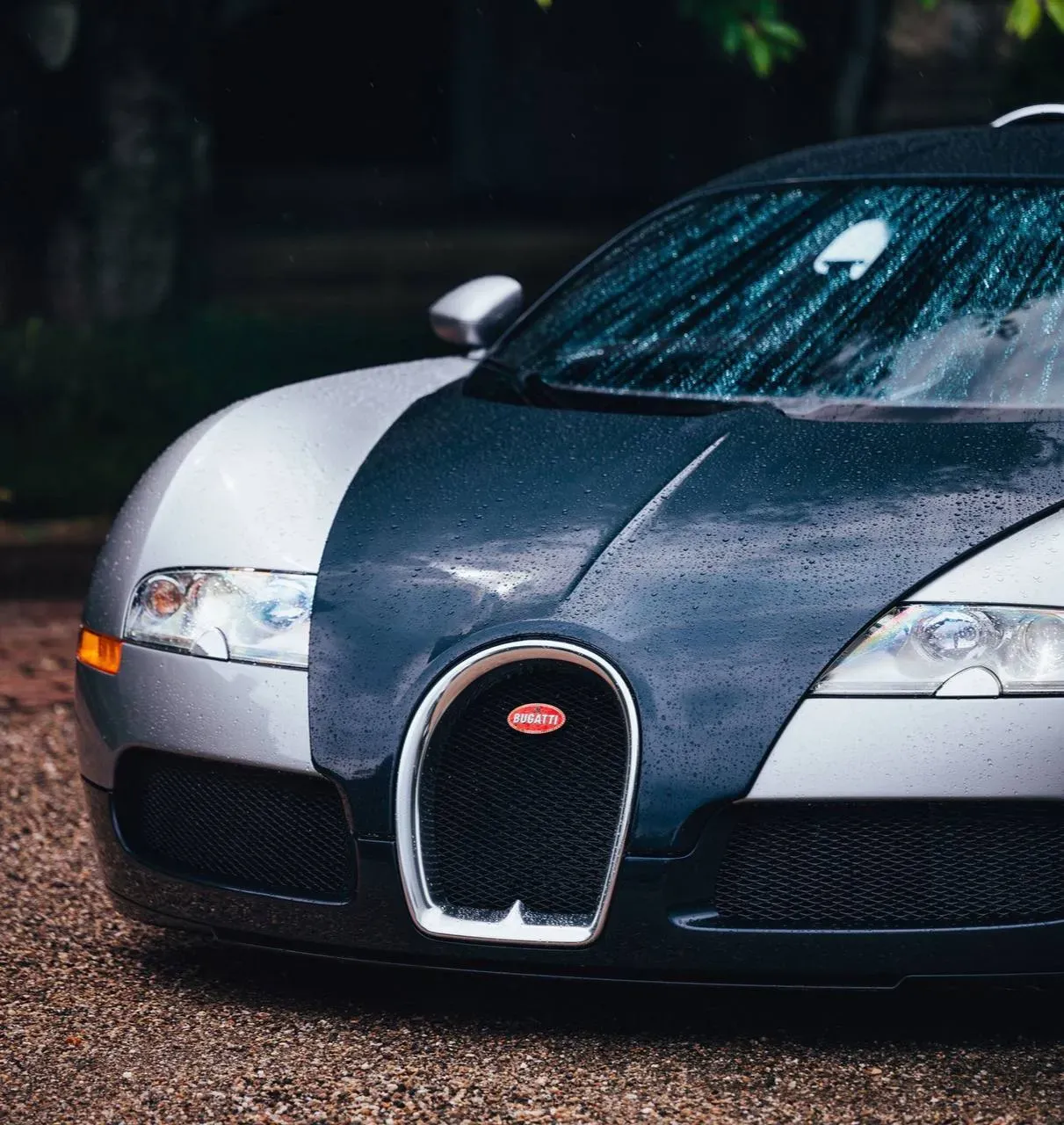 Bugatti Veyron