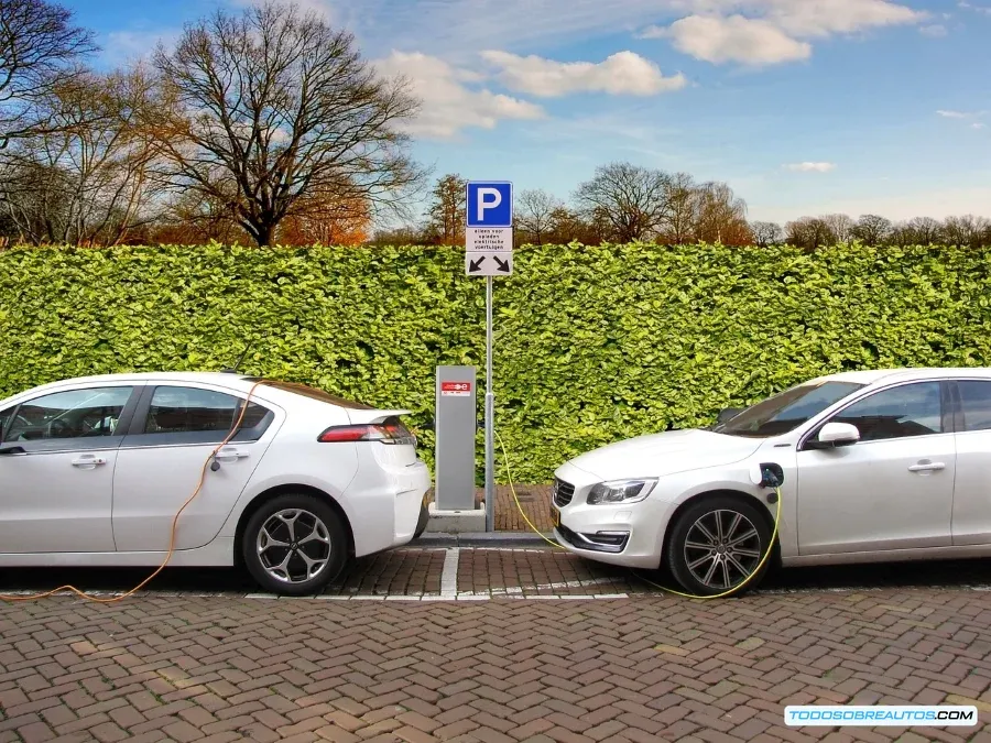 Imagen de varios autos híbridos estacionados, mostrando variedad de modelos y colores.