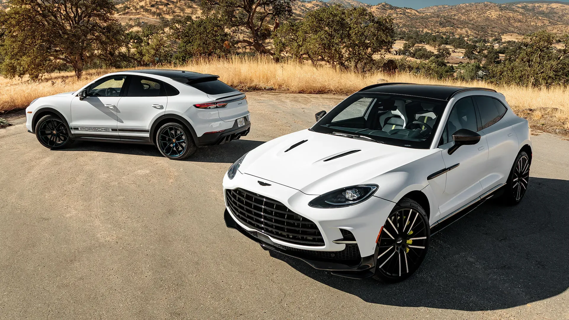 Porsche Cayenne Turbo GT vs Aston Martin DBX707