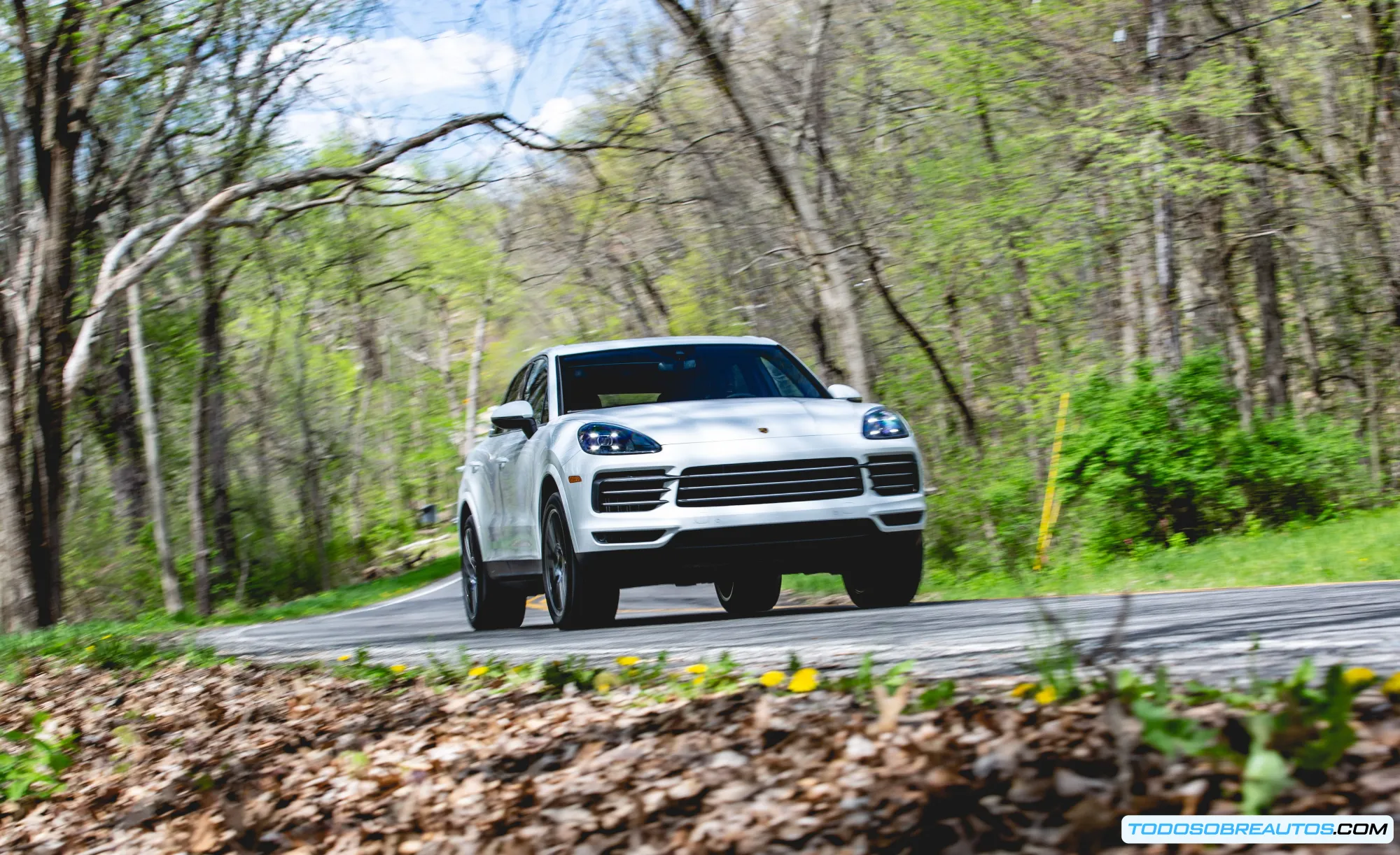 Porsche Cayenne Coupé 2020.