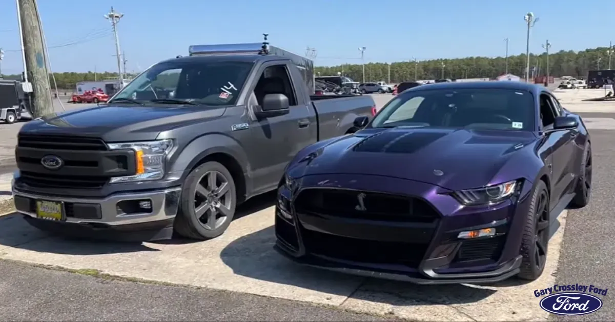 Ford F-150 Lightning vs. Mustang GT vs. Shelby Super Snake