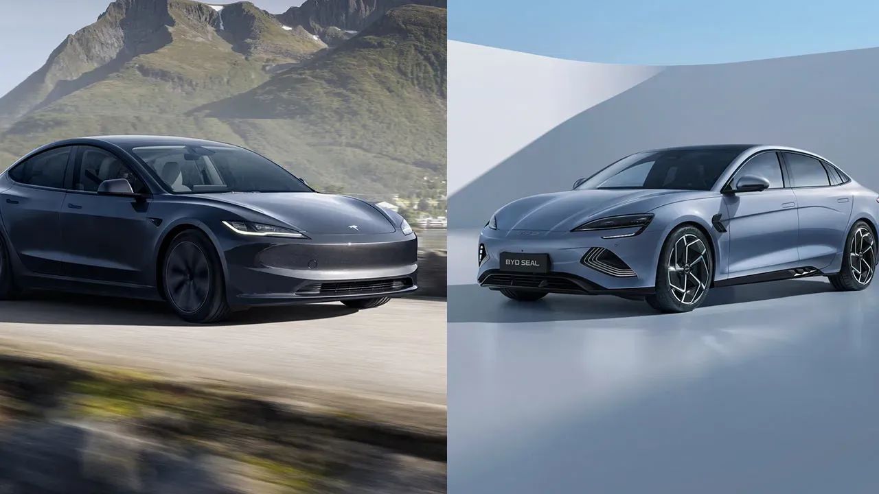 BYD vs Tesla 2024