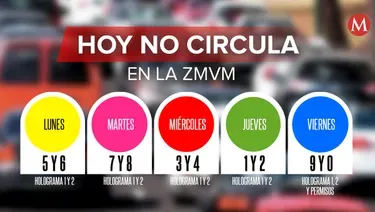 Hoy No Circula CDMX 2025