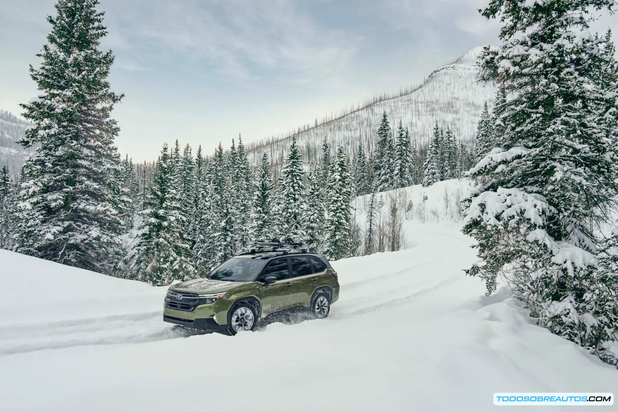 Interior del Subaru Forester Hybrid 2025: espacio, tecnología y confort.