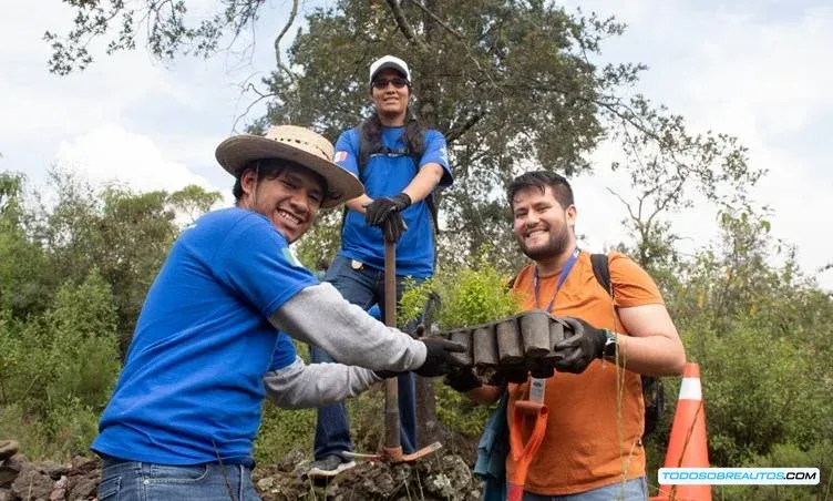 Imagen que representa el compromiso de Ford con la sostenibilidad, mostrando posiblemente un vehículo eléctrico, un proyecto de reforestación o empleados participando en una iniciativa ambiental.