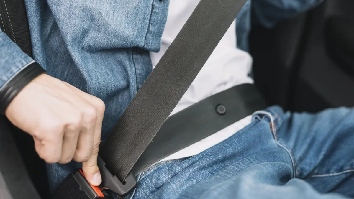 Cinturones de Seguridad: Tus Aliados en la Carretera 🚗💨