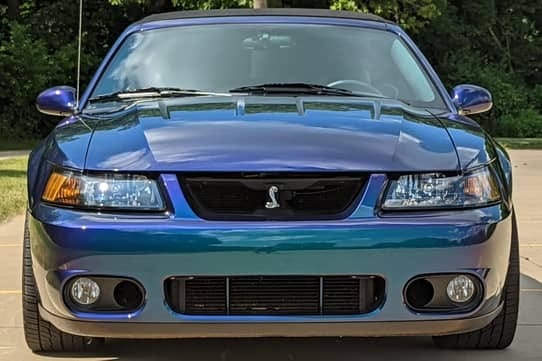 Ford Mustang SVT Cobra Terminator 2004: El Muscle Car Que Cambió de Color