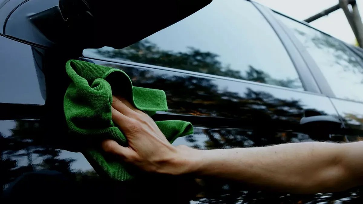 Cómo Quitar Manchas de Resina de Árbol de tu Auto: Trucos Caseros 🚗💨