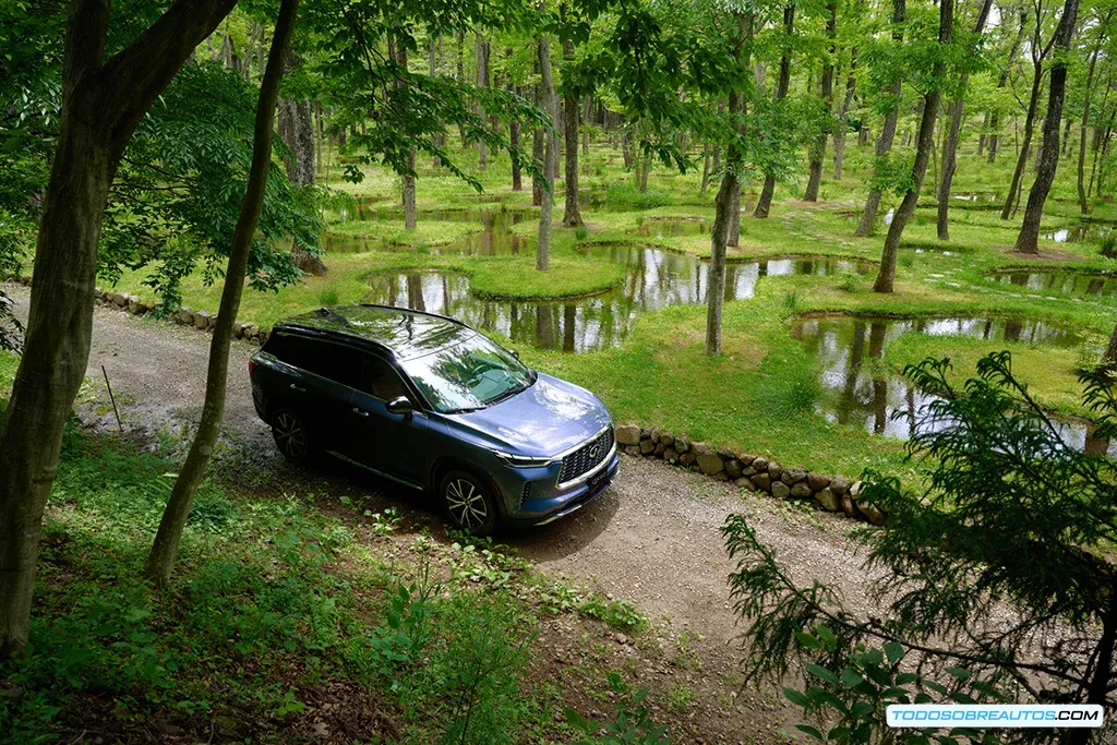 INFINITI QX80 y QX60: Premiados con TOP SAFETY PICK y TOP SAFETY PICK+ por el IIHS 2024