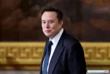 Desplome de Tesla en Alemania