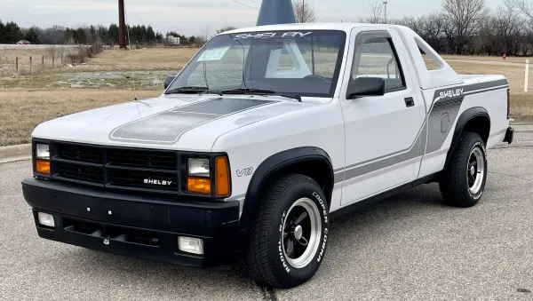 Shelby Dodge Dakota Blanco