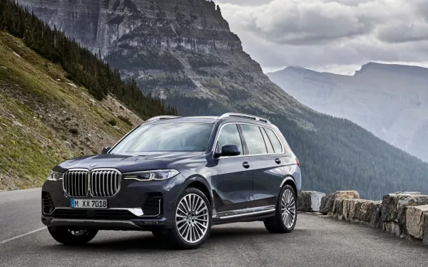 BMW X7 2019 Gris