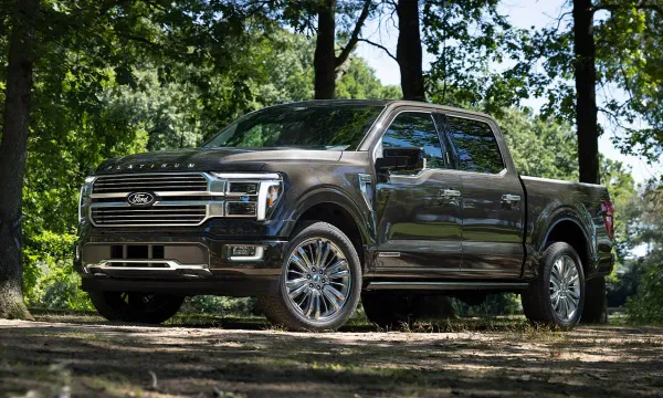 Ford F-150 Gris