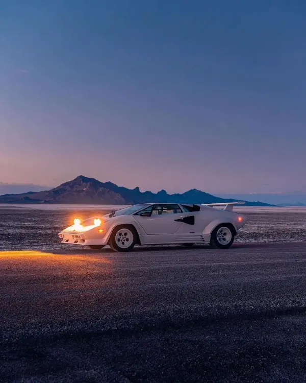 Lamborghini & Alpacas