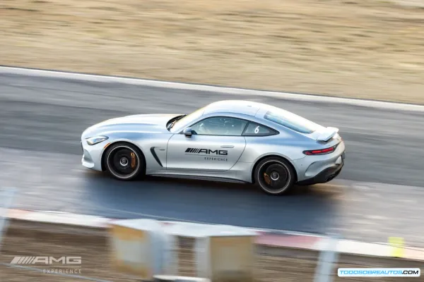 AMG Experience On Track 2025