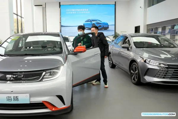 BYD vs Tesla 2024